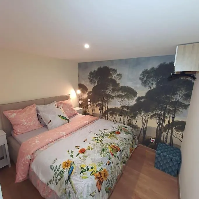 Appartement Maison Tout Confort - Cosy Villa - Aux Portes De Geneve Ch Et Proche D'Annecy - Wifi Et Parking Gratuits Etrembieres